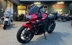 SUZUKI GSX250 R DN11A