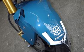 KAWASAKI Z125 PRO BR125H