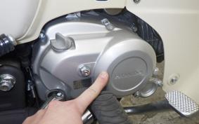 HONDA C110 SUPER CUB