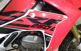 HONDA CRF250L 2009 MD38