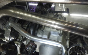 HONDA GORILLA 2025 Z50J