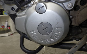 KAWASAKI KLX250D TRACKER 2025 LX250E