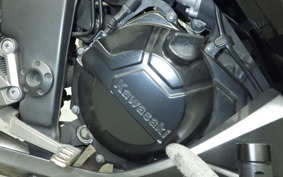 KAWASAKI NINJA 250 EX250L