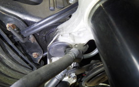 YAMAHA FZ1 FAZER 2009 RN21J