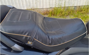 PIAGGIO MP3 250 RL ZAPM47201