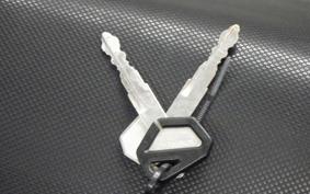 KAWASAKI KLX250D TRACKER X