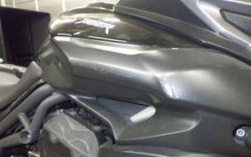 TRIUMPH TIGER 800 2014