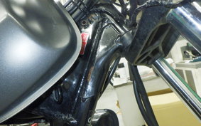 YAMAHA TW225 DG09J