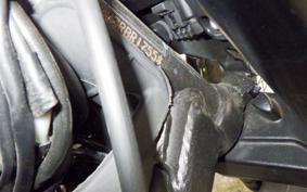 TRIUMPH TRIDENT 660 2024