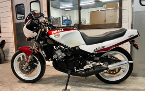 YAMAHA RZ250R 29L