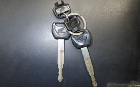 HONDA PS250 2008 MF09