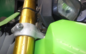 KAWASAKI KLX250 2025 LX250E