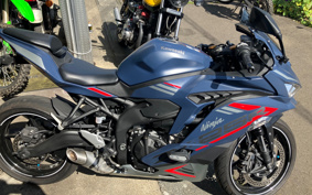 KAWASAKI NINJA ZX-25R SE ZX250E