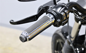 HARLEY XL883N 2016 LE2