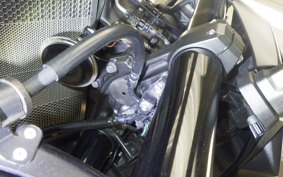 KAWASAKI Z1000 Gen.5 2020 ZXT00W