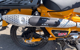 HONDA CT125 HUNTER CUB JA65