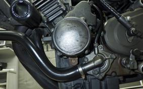 HONDA HORNET 250 MC31