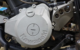 KAWASAKI KLX250 SR LX250E