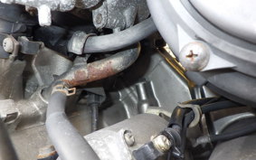 HONDA HORNET 250 MC31