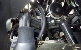 KAWASAKI NINJA 250 EX250Y