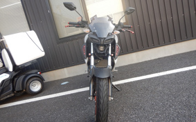 YAMAHA MT-15 RG68