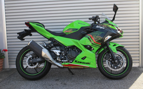 KAWASAKI NINJA 250 KRT ED EX250P