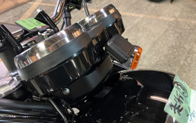 KAWASAKI W800 2025 EJ800E