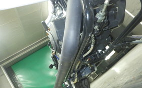 OTHER UNREGISTERED MODEL by BDS250