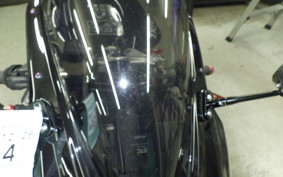 TRIUMPH TRIUMPH DAYTONA675 2009
