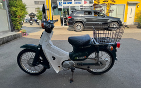 HONDA SUPER CUB50 C50