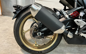 TRIUMPH TRIDENT 800 2026 L24P40