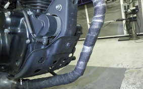 YAMAHA TW225 2007 DG09J