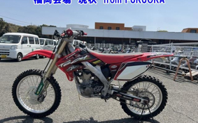 HONDA CRF250 RALLY