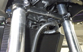 HONDA NC750X DCT 2024 RH09