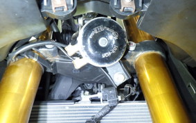 YAMAHA YZF-R3 2019 RH13J