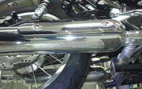 KAWASAKI W800 2023 EJ800E