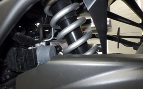 YAMAHA YZF R-3 2024 RH21J