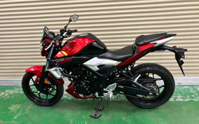 YAMAHA MT-25 RG10J