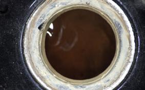 SUZUKI GOOSE 250 NJ46A