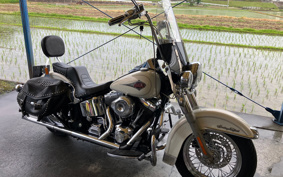 HARLEY HARLEY FLSTC 2001 BJY