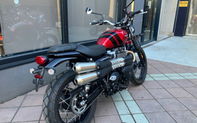 TRIUMPH SCRAMBLER 2022 DAD78G