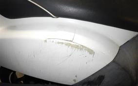 HONDA TODAY 2002 AF61