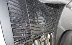 YAMAHA FZ1 FAZER 2009 RN21J