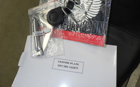 HARLEY FXLRST1920 2025