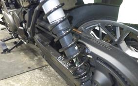 HARLEY RH975S 2024