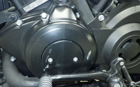 HARLEY XG750 STREET ROD 2021