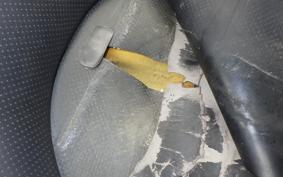 SUZUKI SKYWAVE 250 (Burgman 250) S Gen.3 2022 CJ46A