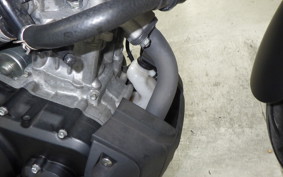 YAMAHA XSR155 2019