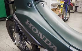 HONDA CROSS CUB 110 2019 JA60