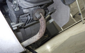 HONDA C110 SUPER CUB 2025 JA10